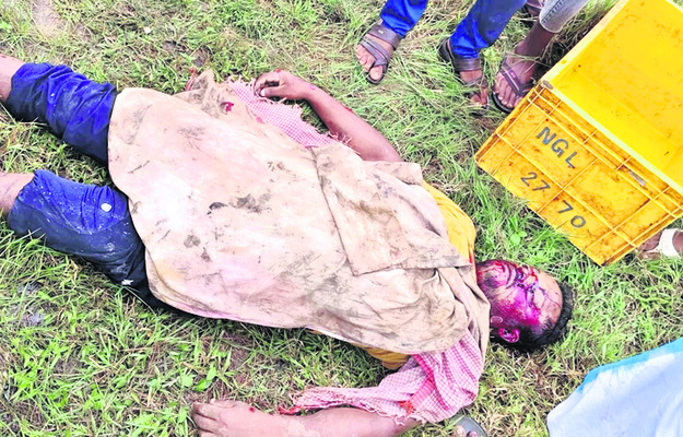అదుపు తప్పి చేపల లారీ బోల్తా 1