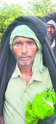 70 గొర్రెలు మృత్యువాత 3