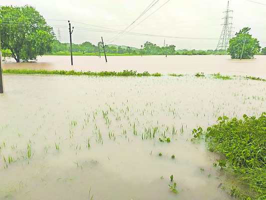 కుంభవృష్టితో మెతుకుసీమ అతలాకుతలం3