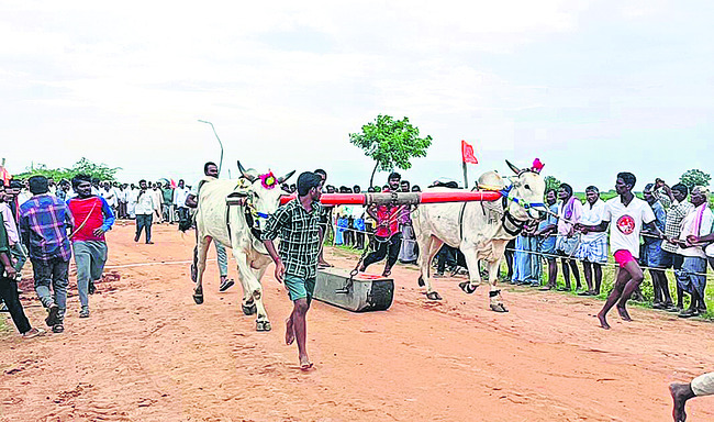 డిజిటల్ అసిస్టెంట్లకు ఉద్యోగోన్నతులు 2