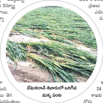ఉరిమిన మేఘం6