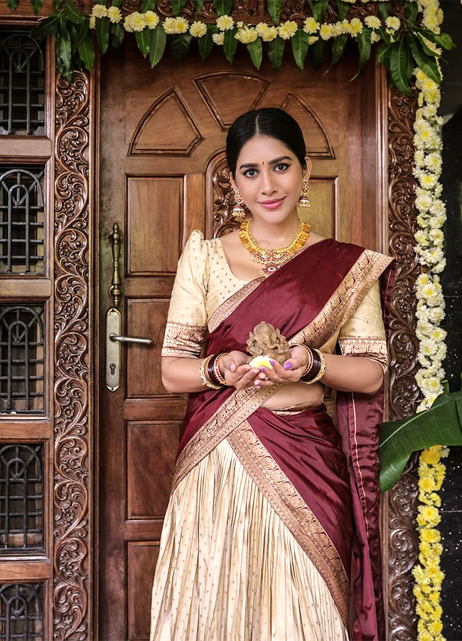 Tollywood Actress Nabha Natesh Family Photos HD3