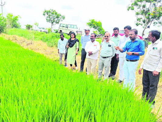 నిజామాబాద్3
