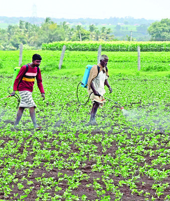 తుంగభద్ర తీరాన  క్యాన్సర్‌ భూతం?3
