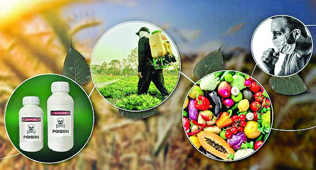 తుంగభద్ర తీరాన  క్యాన్సర్‌ భూతం?1