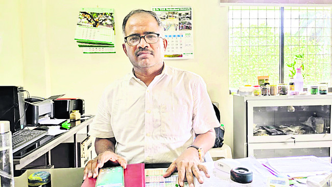 తాటిచెట్టు ప్రకృతి ప్రసాదించిన కల్పతరువు. ఈ వృక్షంలోని 3