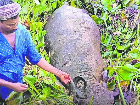 ప్రశ్నిస్తే దాడులా..?1