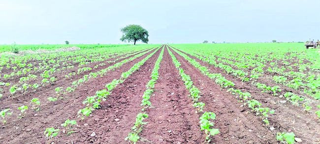 రుణ లక్ష్యం ఖరారు 1