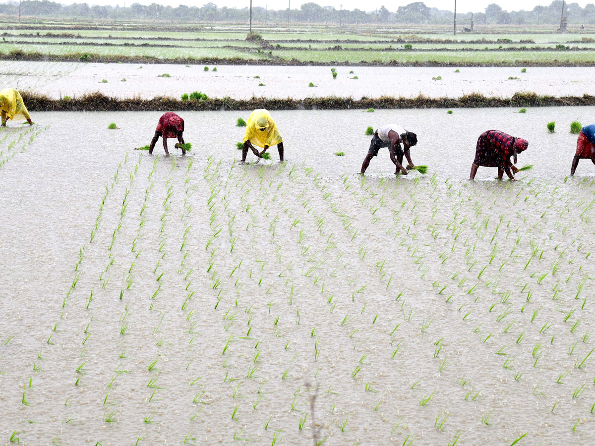 Best Photos of The Week in AP and Telangana Photo Gallery13