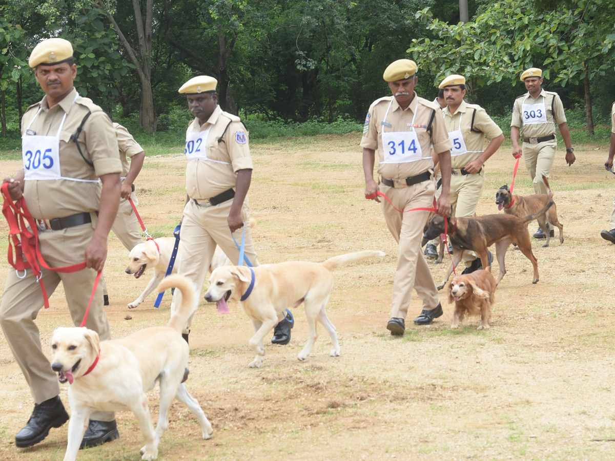 Best Photos of The Week in AP and Telangana Photo Gallery50