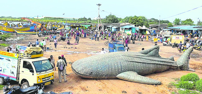 బాగానే బొక్కుతున్నారు!2