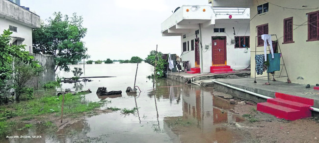 చెరువులను తలపిస్తోన్న పొలాలు 3