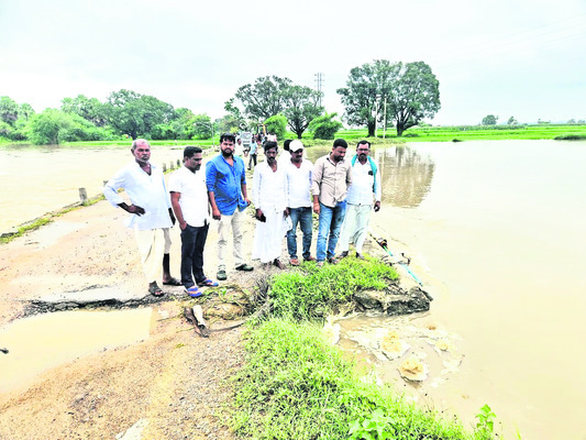 చెరువులను తలపిస్తోన్న పొలాలు 5