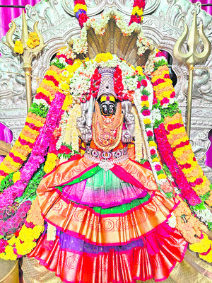 శాస్త్రోక్తంగా రాహుకాల అభిషేక పూజలు
1