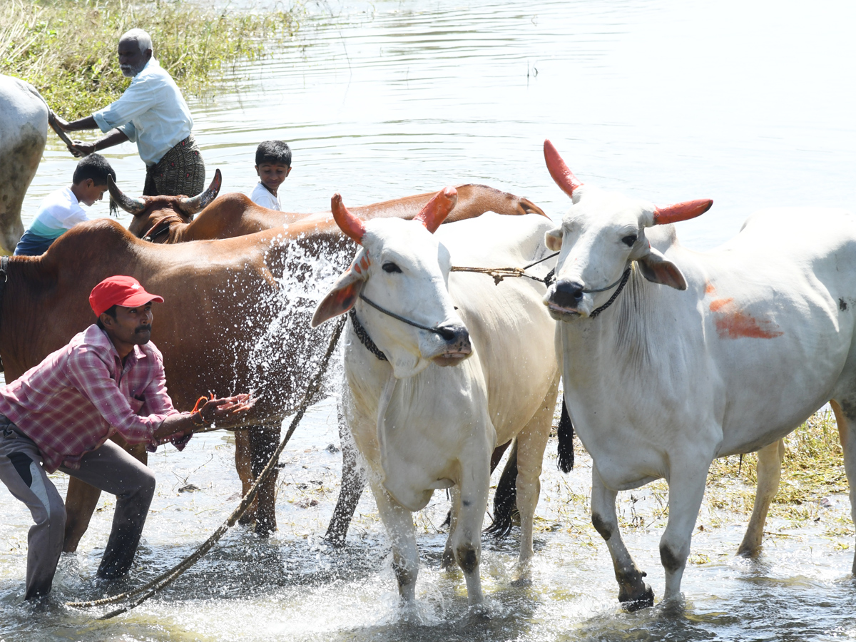 Best Photos of The Week in AP and Telangana Photo Gallery2