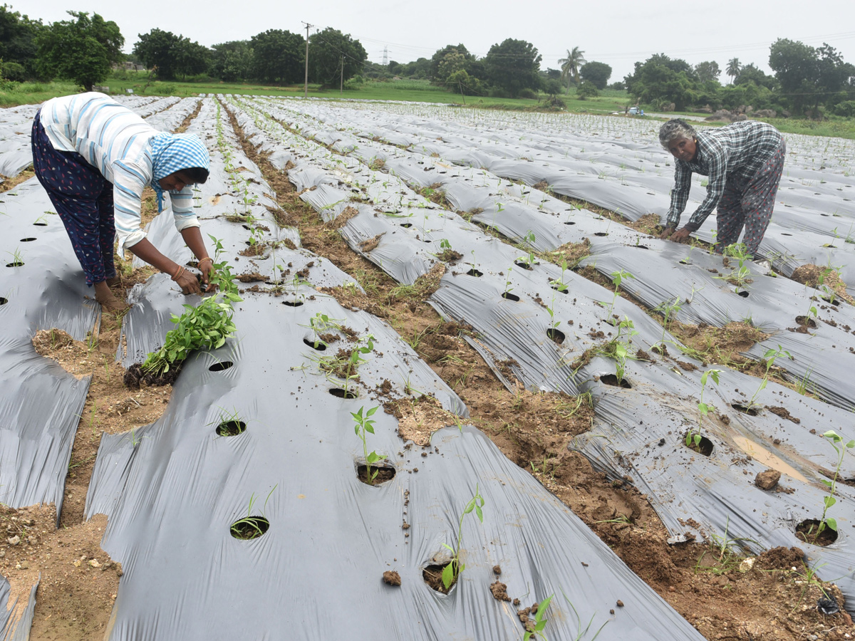 Best Photos of The Week in AP and Telangana Photo Gallery20