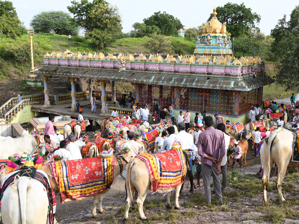 Best Photos of The Week in AP and Telangana Photo Gallery3