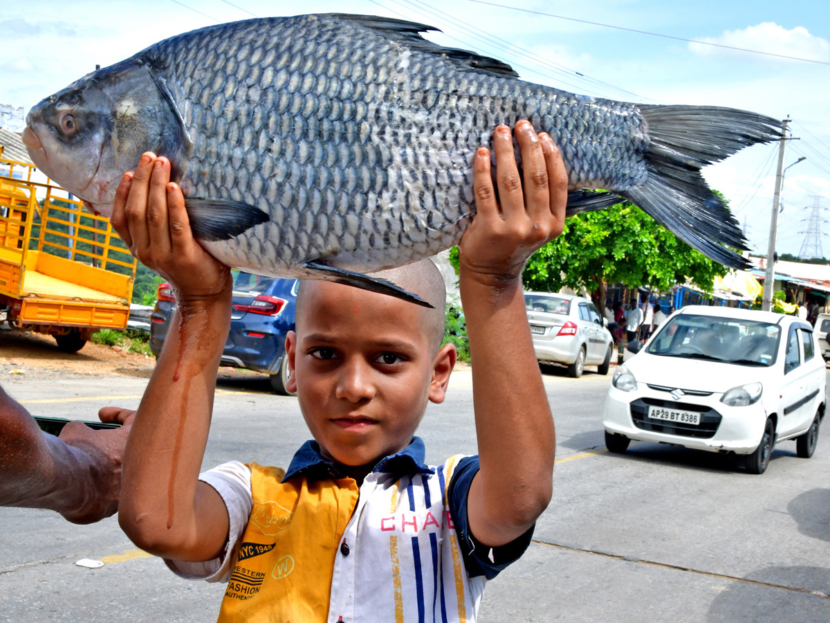 Best Photos of The Week in AP and Telangana Photo Gallery25