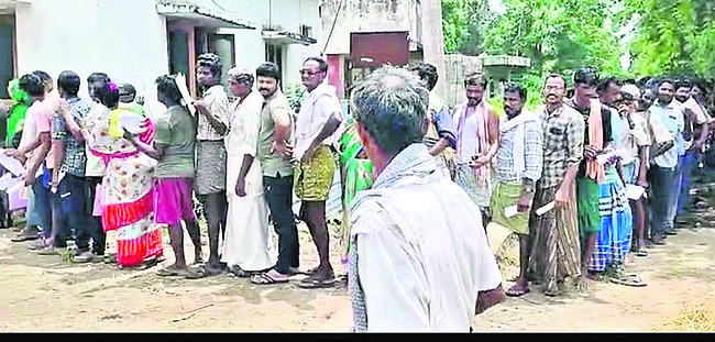 ఎరువుల సరఫరా ఏకపక్షం 1