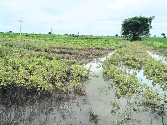 రెండు రోజులుగా వరదలోనే పంటలు 3