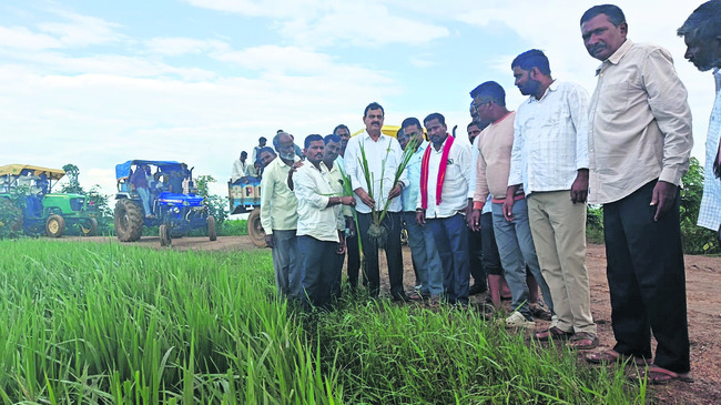 రెండు రోజులుగా వరదలోనే పంటలు 4