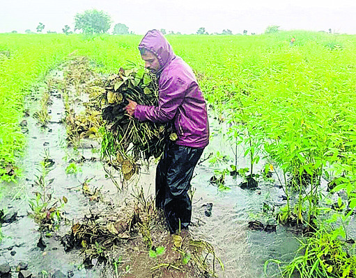 కళ్యాణ కర్ణాటకను వీడని వర్షాలు 1