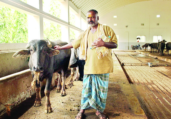 వినూత్నం.. పశుపోషణ కేంద్రం2