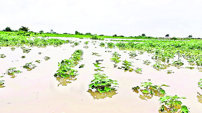 ఉగ్ర గోదావరి..1