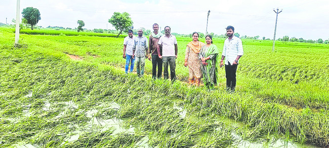 అప్రమత్తంగా ఉండాలి
1