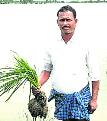 పంట నష్టం 13 వేల ఎకరాలు 2