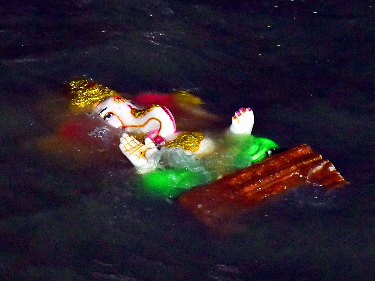 Ganesha immersions in Telugu States Photos6