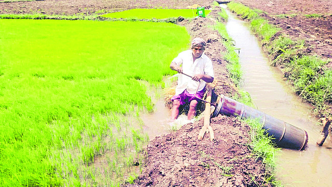 కృష్ణమ్మ ఉప్పొంగినా.. ఎండుతున్న రైతు గుండె
1