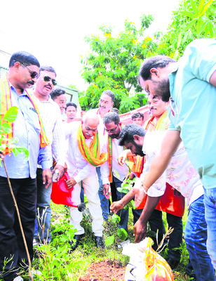 ప్రతి ఒక్కరూ మొక్కలు నాటాలి 1