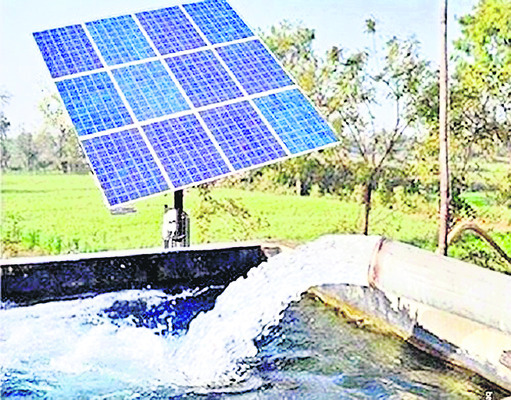 పోడు భూములు పచ్చగా..1