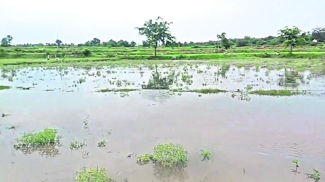 పలు చోట్ల భారీ వర్షం 1
