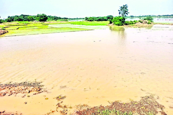 ఉధృతంగా పాకాలవాగు1