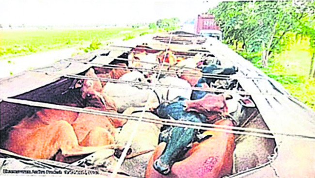 గో భక్షకులు 2
