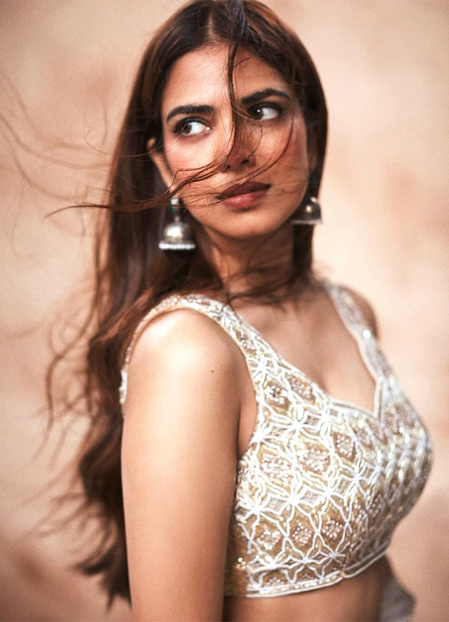 Actress Malavika Mohanan Birthday Special Photos11