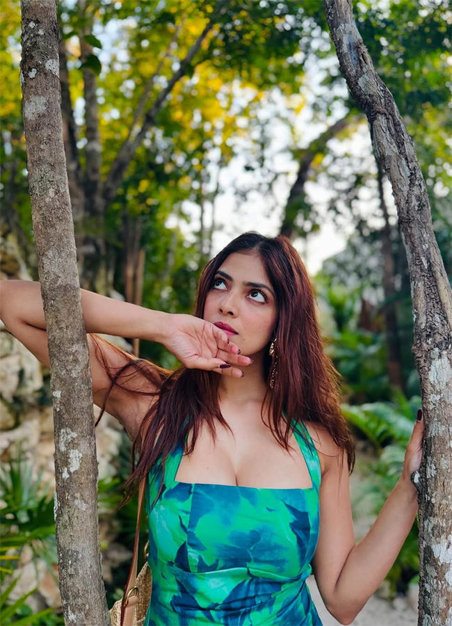Actress Malavika Mohanan Birthday Special Photos8