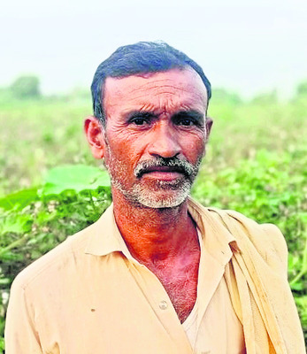 పత్తి సాగు1