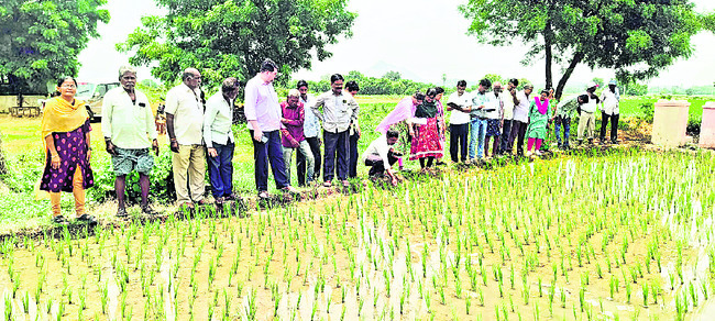 డెయిరీ ఏర్పాటుకు చర్యలు
1