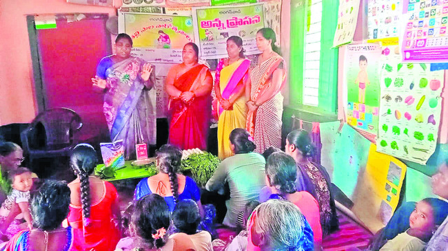 నస్రుల్లాబాద్లో గ్రామ సభ
1