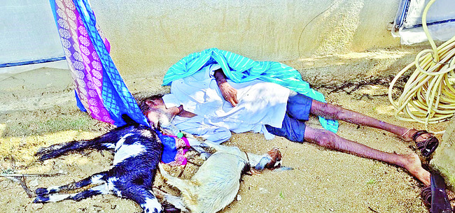 విద్యుదాఘాతంతో గొర్రెల కాపరి మృతి 1