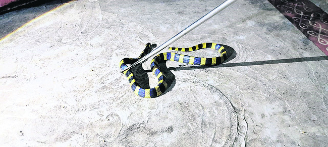 గంజాయి రవాణాకు3