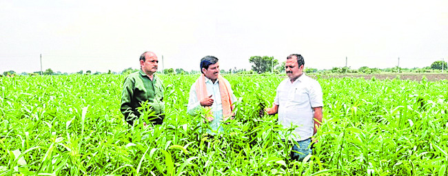 నాణ్యమైన ఎరువులు విక్రయించాలి 
2