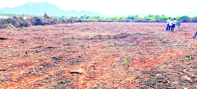 భూములను మింగేస్తున్న ‘పోరంబోకు’లు 1