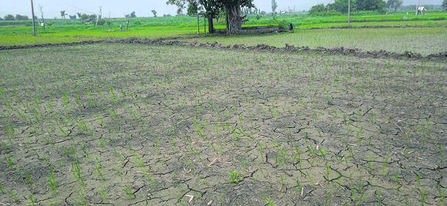 ట్రాన్స్ ‘ఫార్మర్ల’ కష్టాలు 1