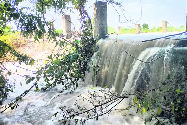 పొంగిన వాగులు1