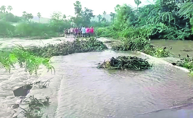 పొంగిన వాగులు2