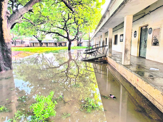 పొంగిన వాగులు3